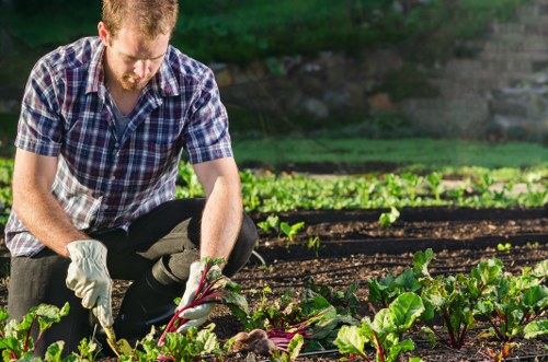 Thoughtful garden care and pruning in Aldwych