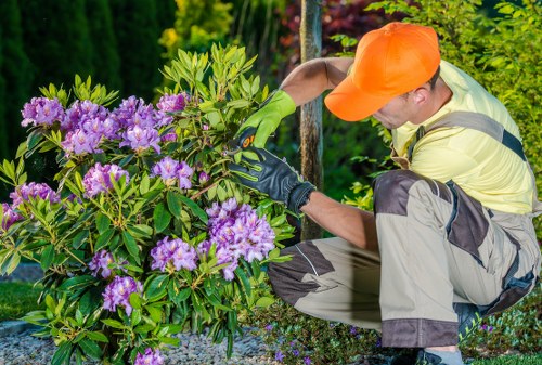Professional gardening services in Aldwych maintaining an urban garden