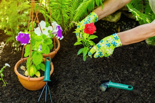 Professional lawn mowing in Aldwych for a neat garden finish