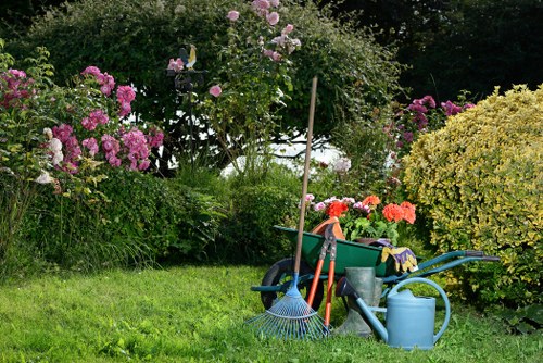 Garden hedge trimming work improving plant health in Aldwych