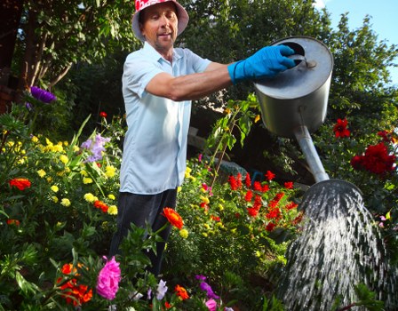 Browser controls for managing Gardeners Aldwych cookies