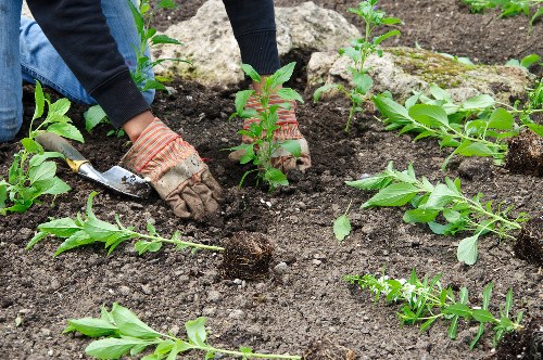 Garden waste being collected and sorted responsibly