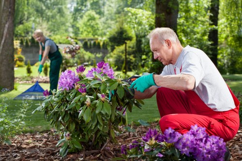 Low-carbon van used for sustainable garden services