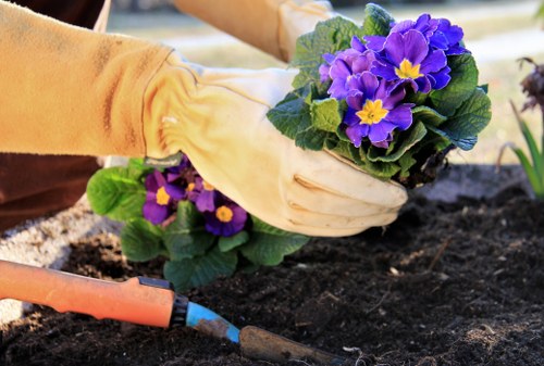 Professional lawn care in Aldwych including mowing and feeding