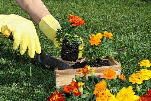 Seasonal lawn maintenance in Aldwych for shaded city gardens