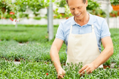 Gardener working carefully around plants and outdoor features
