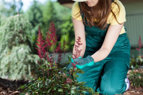 Professional garden maintenance in a central London courtyard