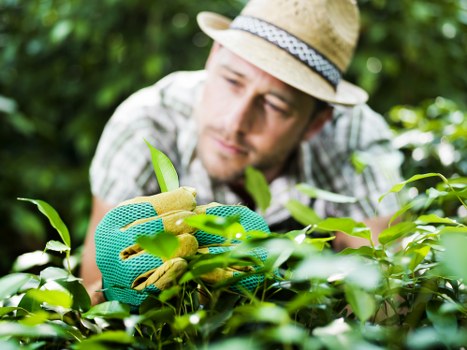 Final terms and conditions section for a professional gardening service