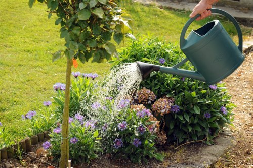 Professional landscaping design elements for Aldwych outdoor spaces