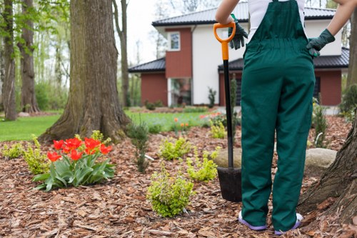 Commercial garden care and frontage maintenance in Aldwych