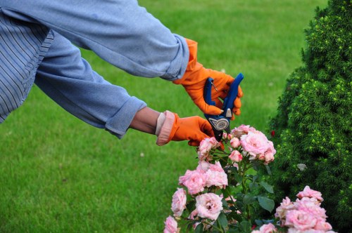 Supplier due diligence and audit process at Gardeners Aldwych