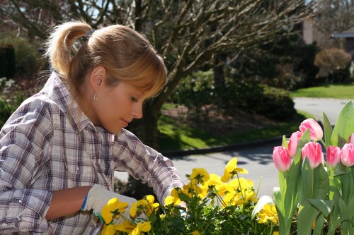 Aldwych gardeners carrying out a site-specific safety check