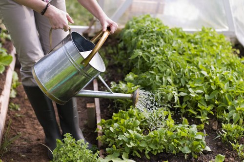 Professional Gardeners Aldwych maintaining a safe outdoor space