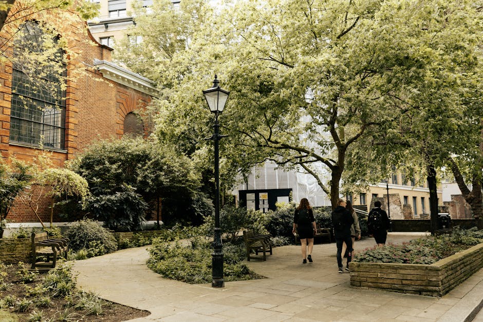 A city street scene with a mix of historic and modern buildings. On the left, an ornate, classical-style facade with detailed stonework and decorative elements, partially shaded by large potted shrubs